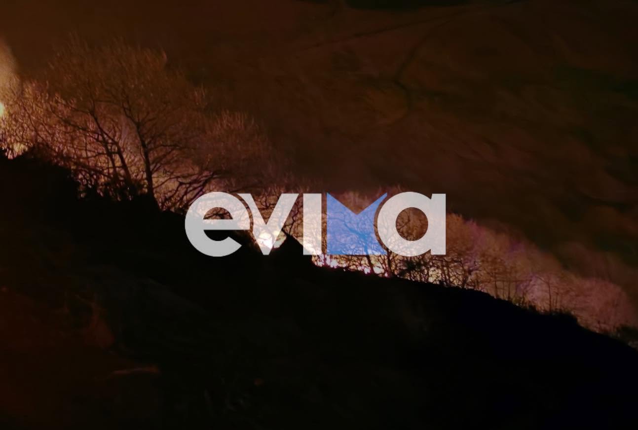 Φωτιά σε δασική έκταση στην Κάρυστο: Νυχτερινή μάχη της Πυροσβεστικής