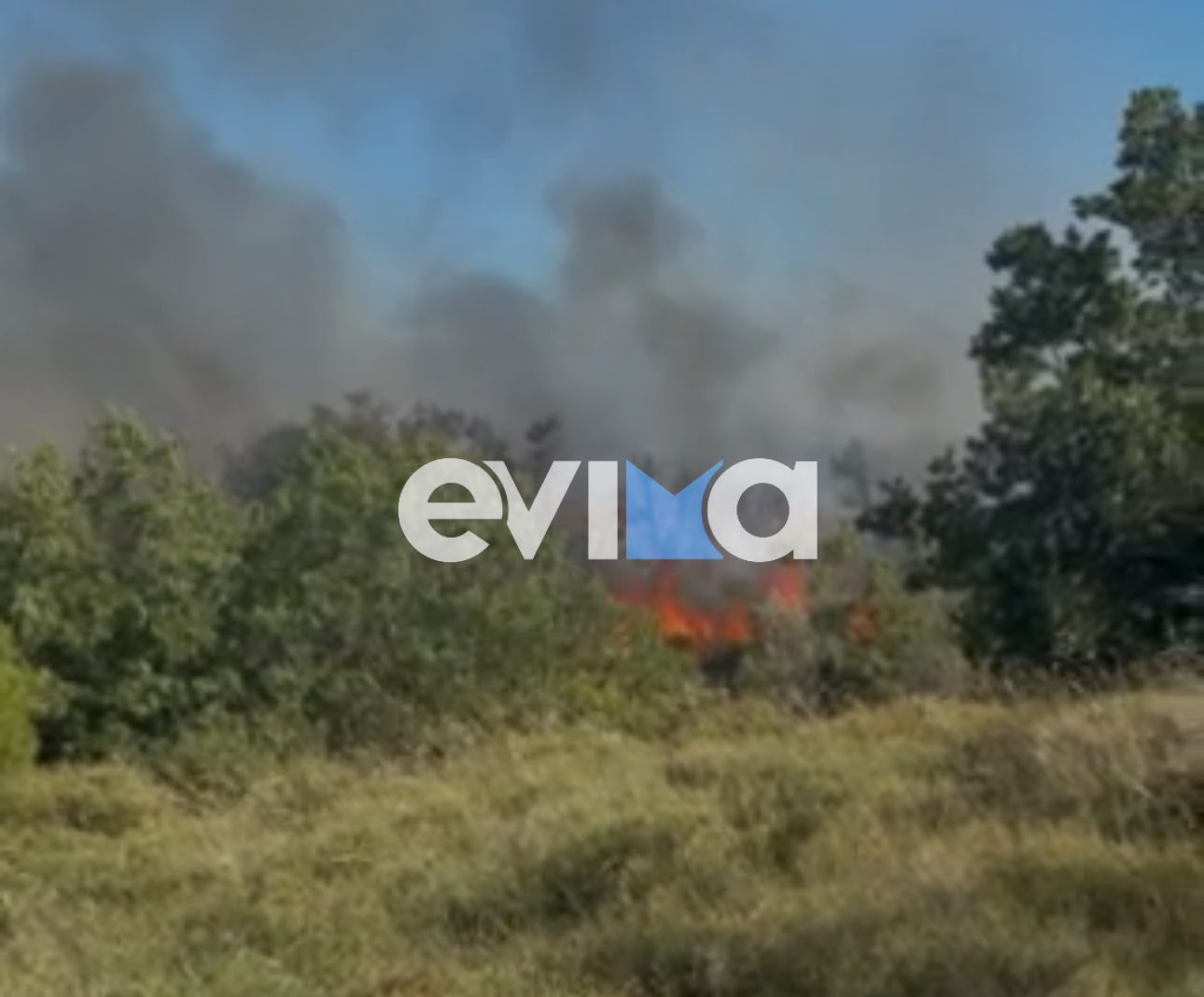 Εύβοια: Πώς προκλήθηκε η φωτιά στη Λούτσα – Πόσα στρέμματα έκαψε