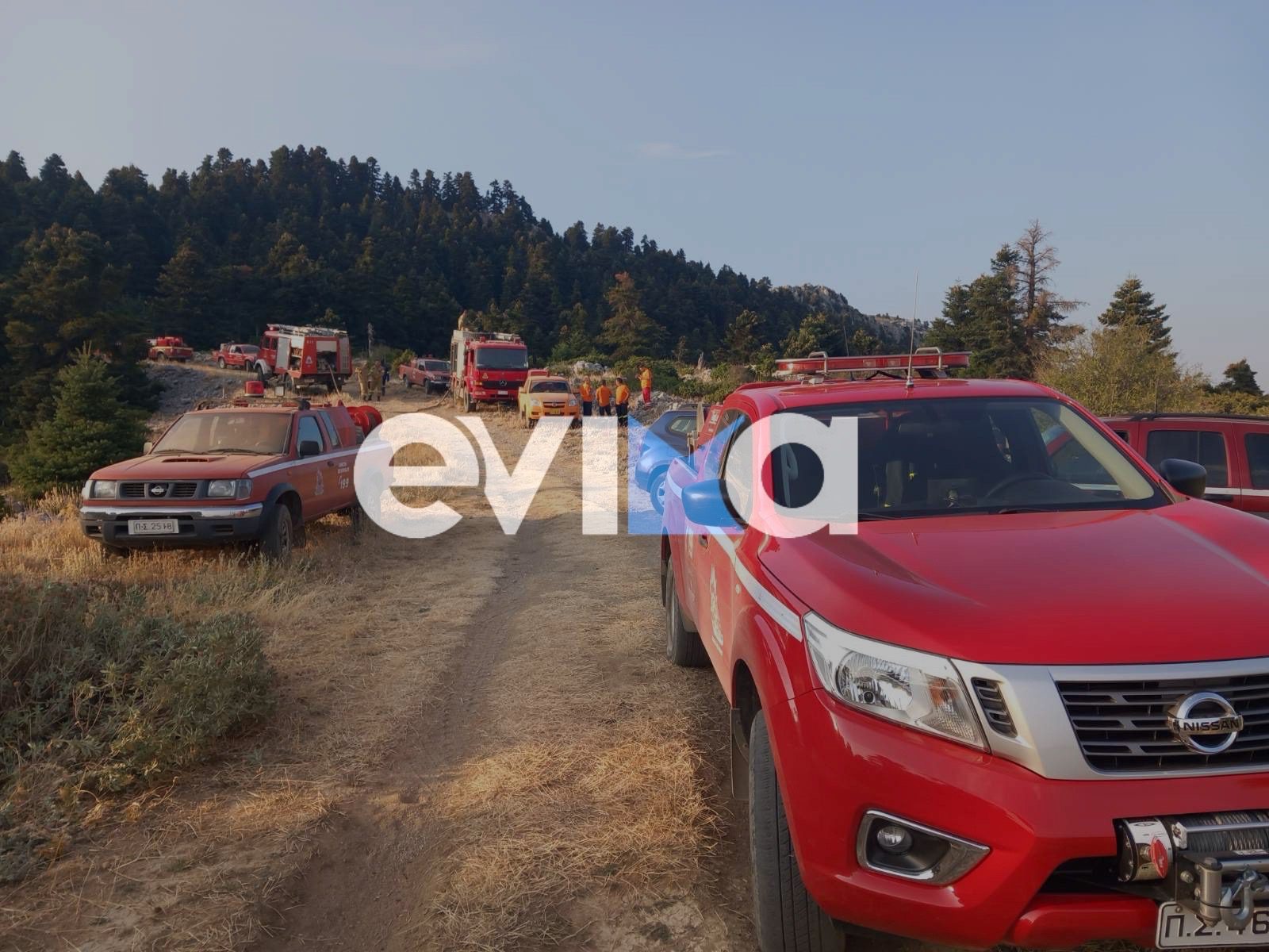 Εύβοια: Πολύ υψηλός κίνδυνος πυρκαγιάς την Κυριακή (5/7) – Τι απαγορεύεται
