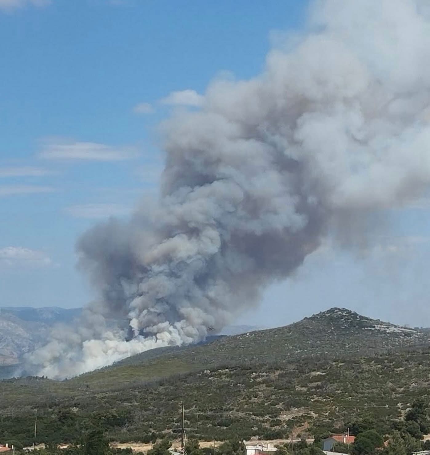 Εκτός ελέγχου η φωτιά στην Οινόη καίει  δασική έκταση