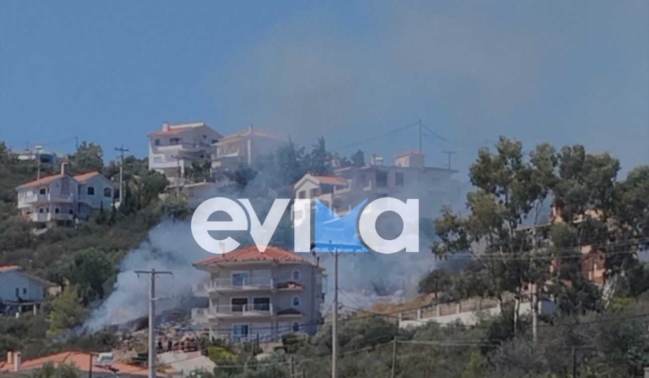 Φωτιά τώρα στην Εύβοια δίπλα σε σπίτια οι φλόγες