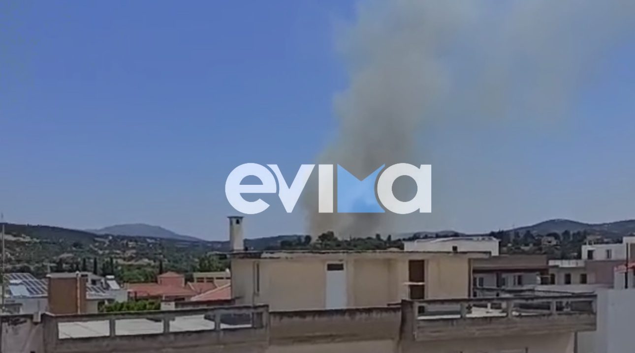 Μεγάλη φωτιά στην Εύβοια – Ήχησε το 112