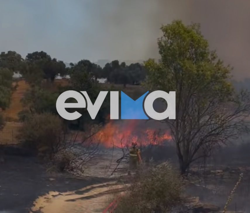 Μεγάλη φωτιά στην Εύβοια κοντά σε σπίτια – Ήχησε το 112