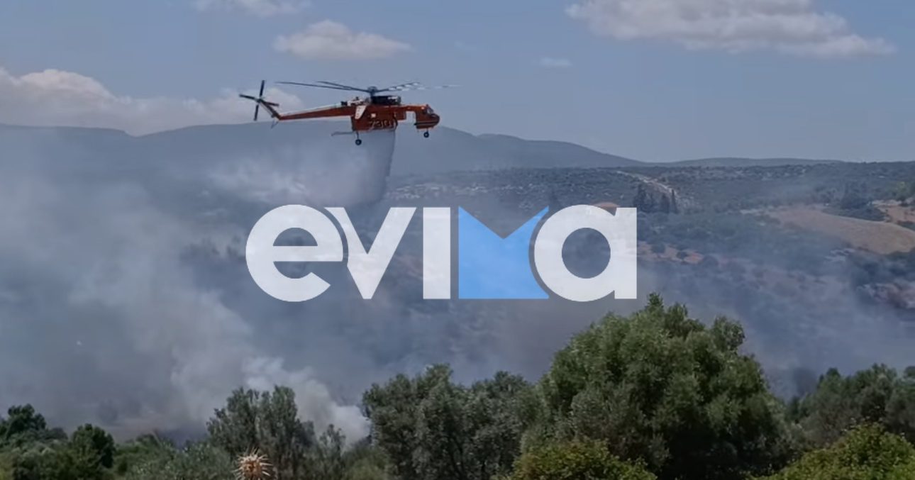 Φωτιά στην Εύβοια: Χωρίς ρεύμα και νερό περιοχές του Αλιβερίου