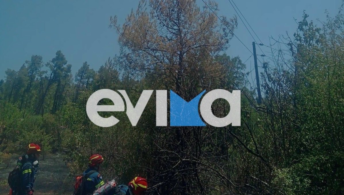 Υπό έλεγχο η φωτιά στο Μαντούδι Ευβοίας! Πυροσβέστες αστραπή» έσωσαν το δάσος