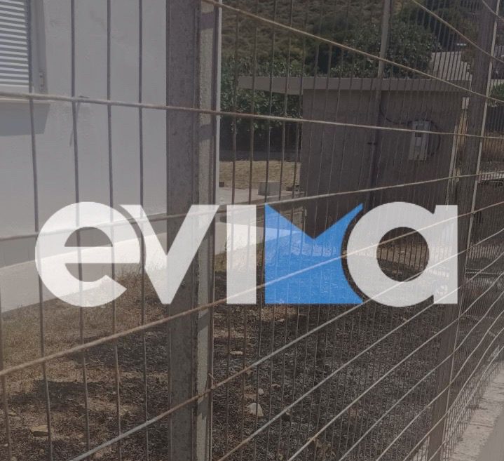 Φωτιά σε κολώνα της ΔΕΗ σε παραλία της Εύβοιας