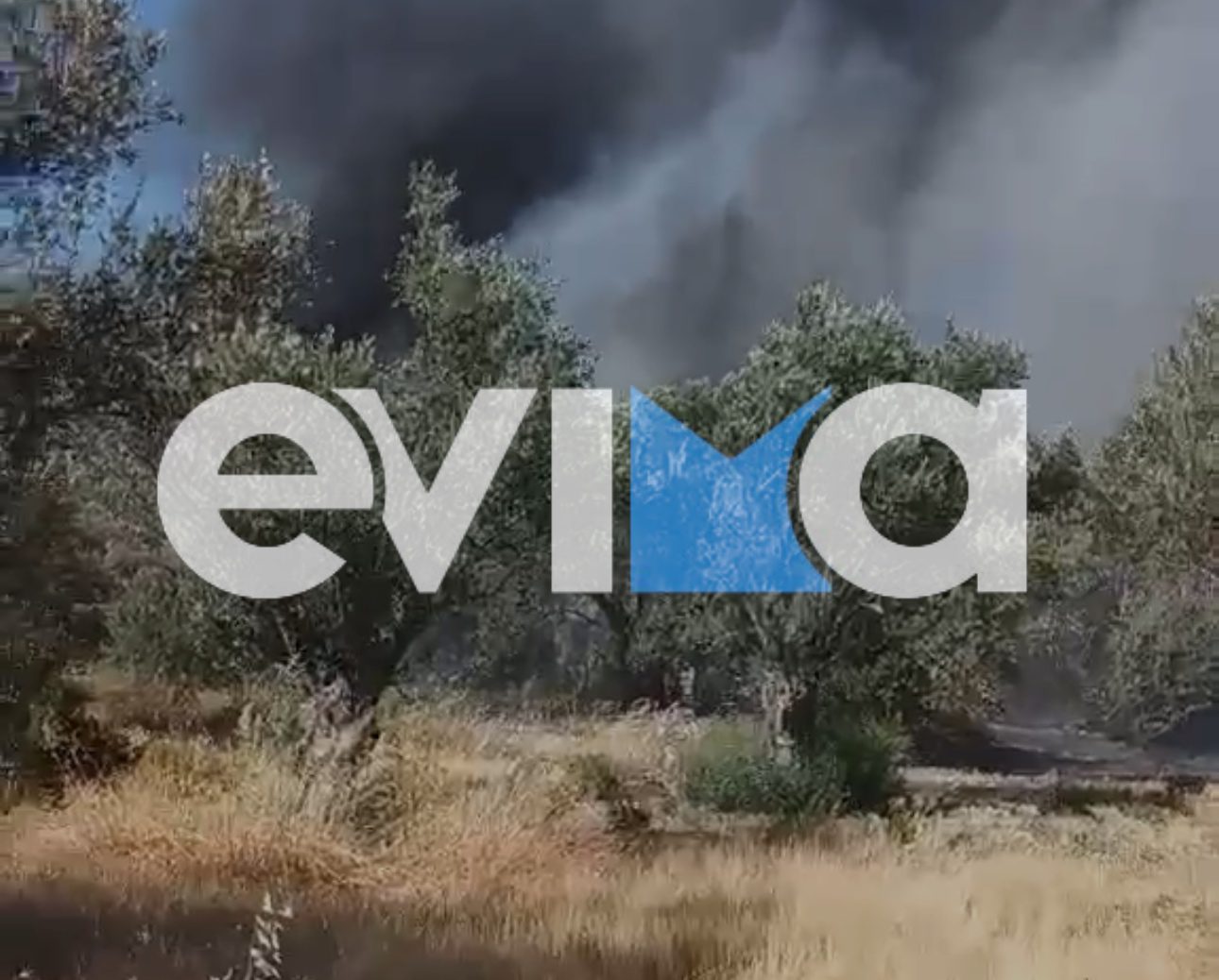 Μεγάλη φωτιά στην Εύβοια: Σηκώθηκαν και εναέρια μέσα – Νέες εικόνες και βίντεο