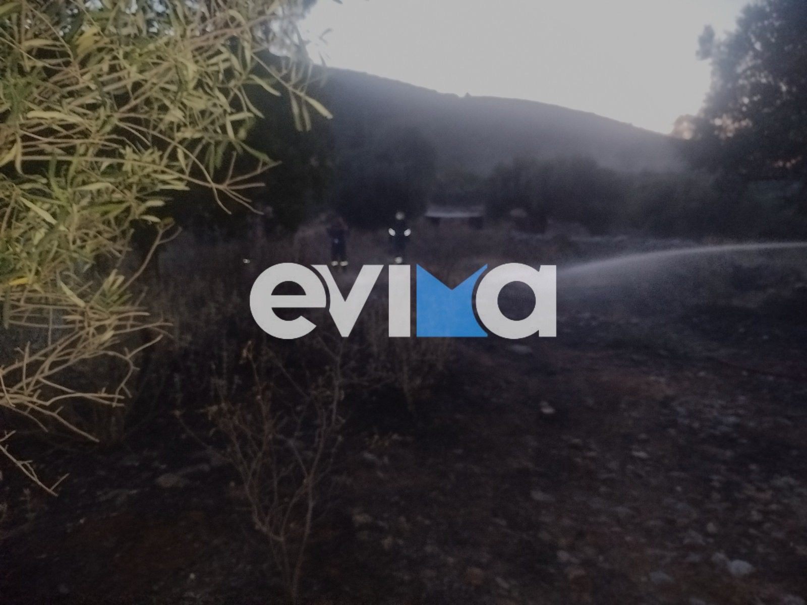 Νέα φωτιά στην Εύβοια πίσω από γήπεδο