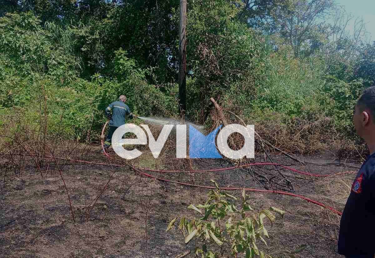 Φωτιά τώρα σε δασική έκταση στην Εύβοια: Συναγερμός στην Πυροσβεστική
