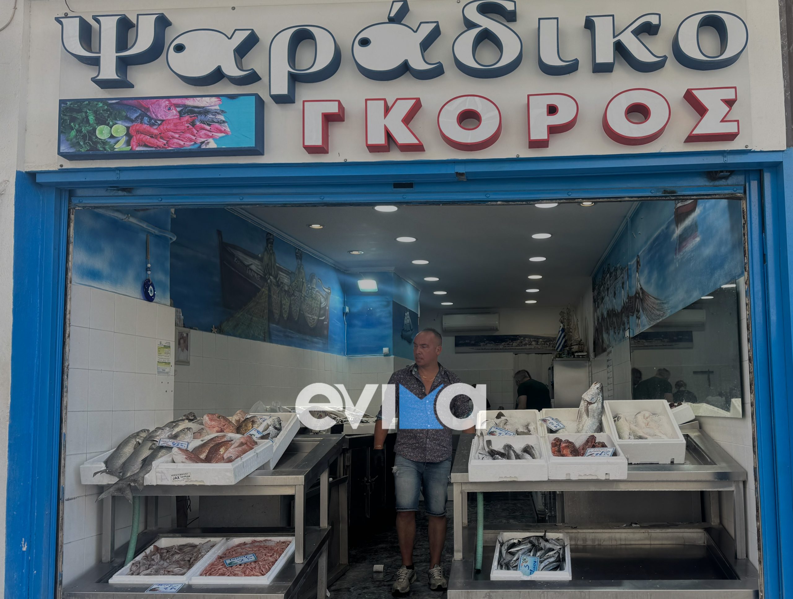 Αν ψάχνεις το φρέσκο… στην Εύβοια το βρήκες! Στο Ιχθυοπωλείο Παναγιώτης Γκόρος