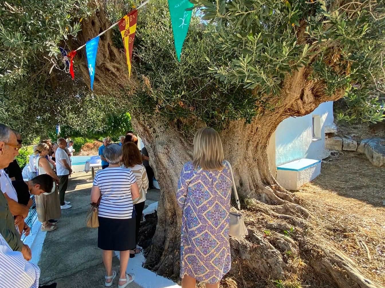 Εύβοια: Που βρίσκεται το ξωκλήσι με την αιωνόβια ελιά στο προαύλιο του;