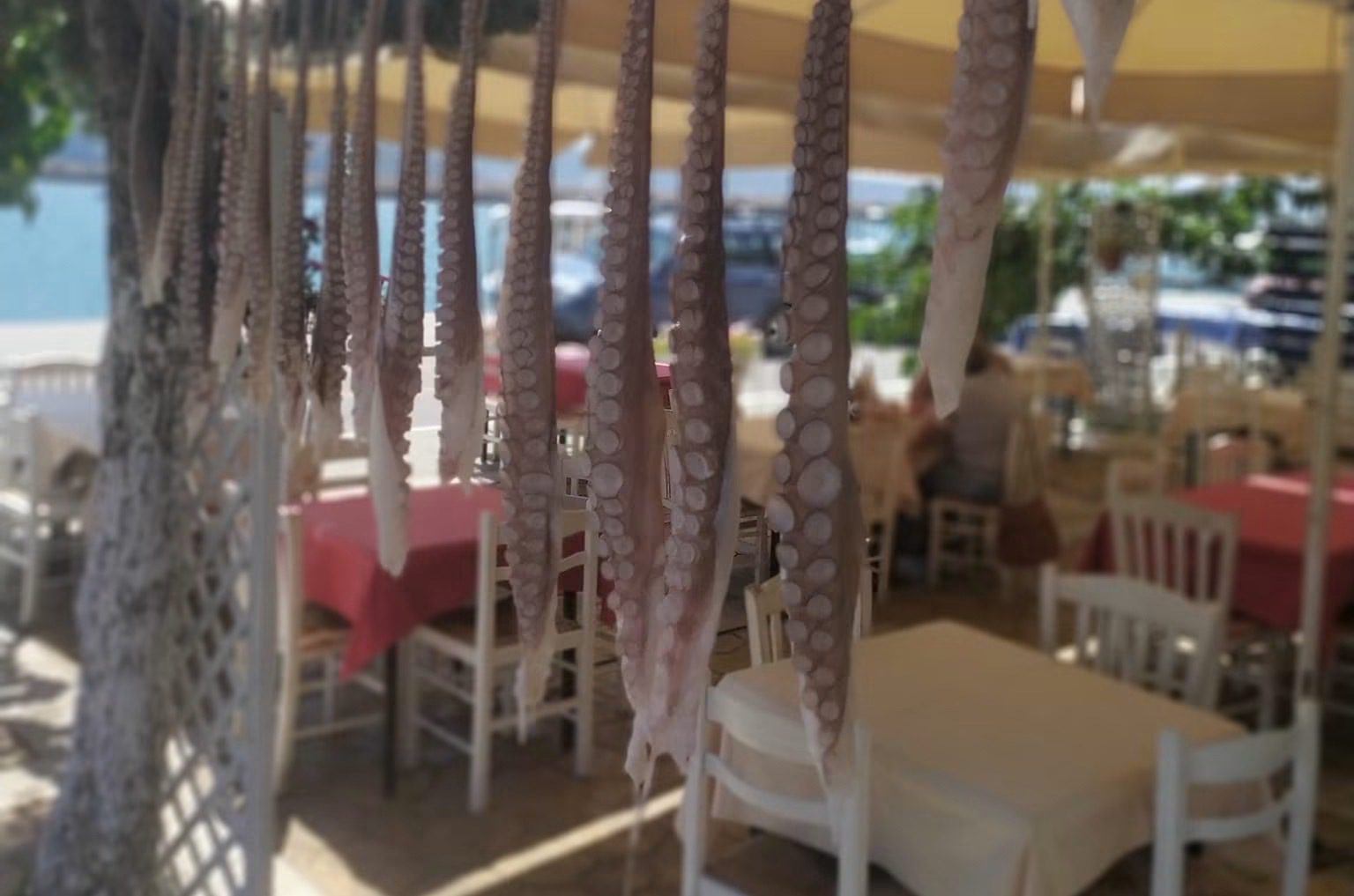 Κάνεις διακοπές στην Εύβοια και θες να φας καλά; «Το Κοτύλη» σε περιμένει στον Κάραβο Αλιβερίου