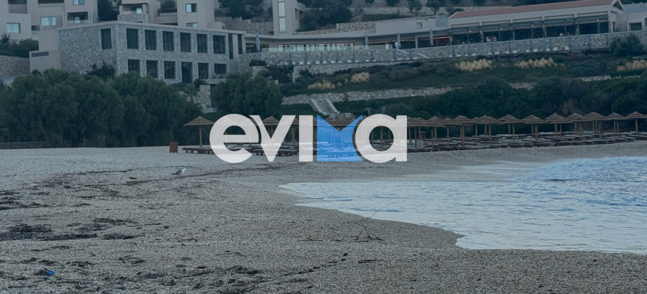 Εύβοια: Τα θυελλώδη μποφόρ άδειασαν τις παραλίες και έμειναν μόνο τα γλαροπούλια (vid)