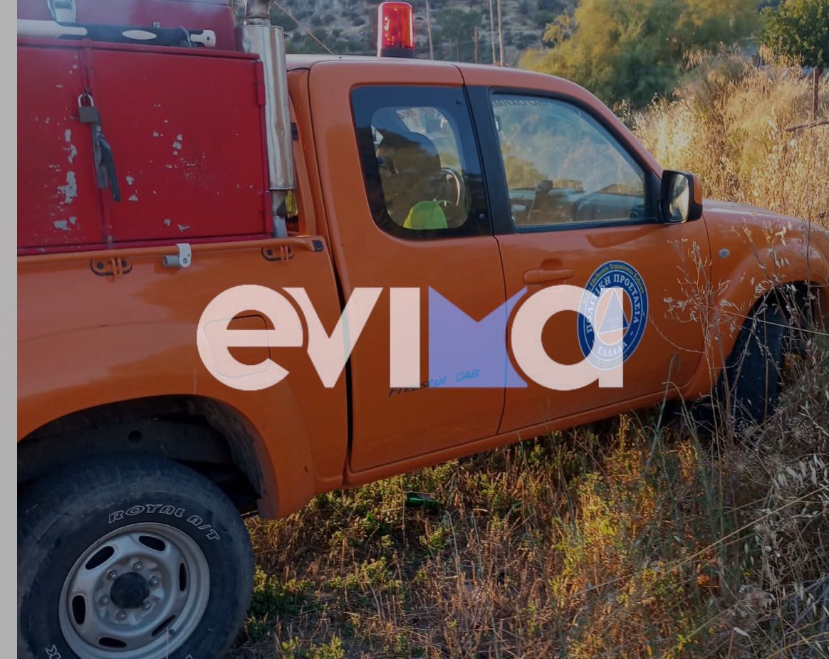 Λήξη συναγερμού σε Πυροσβεστική και εθελοντές για φωτιά στην Ερέτρια