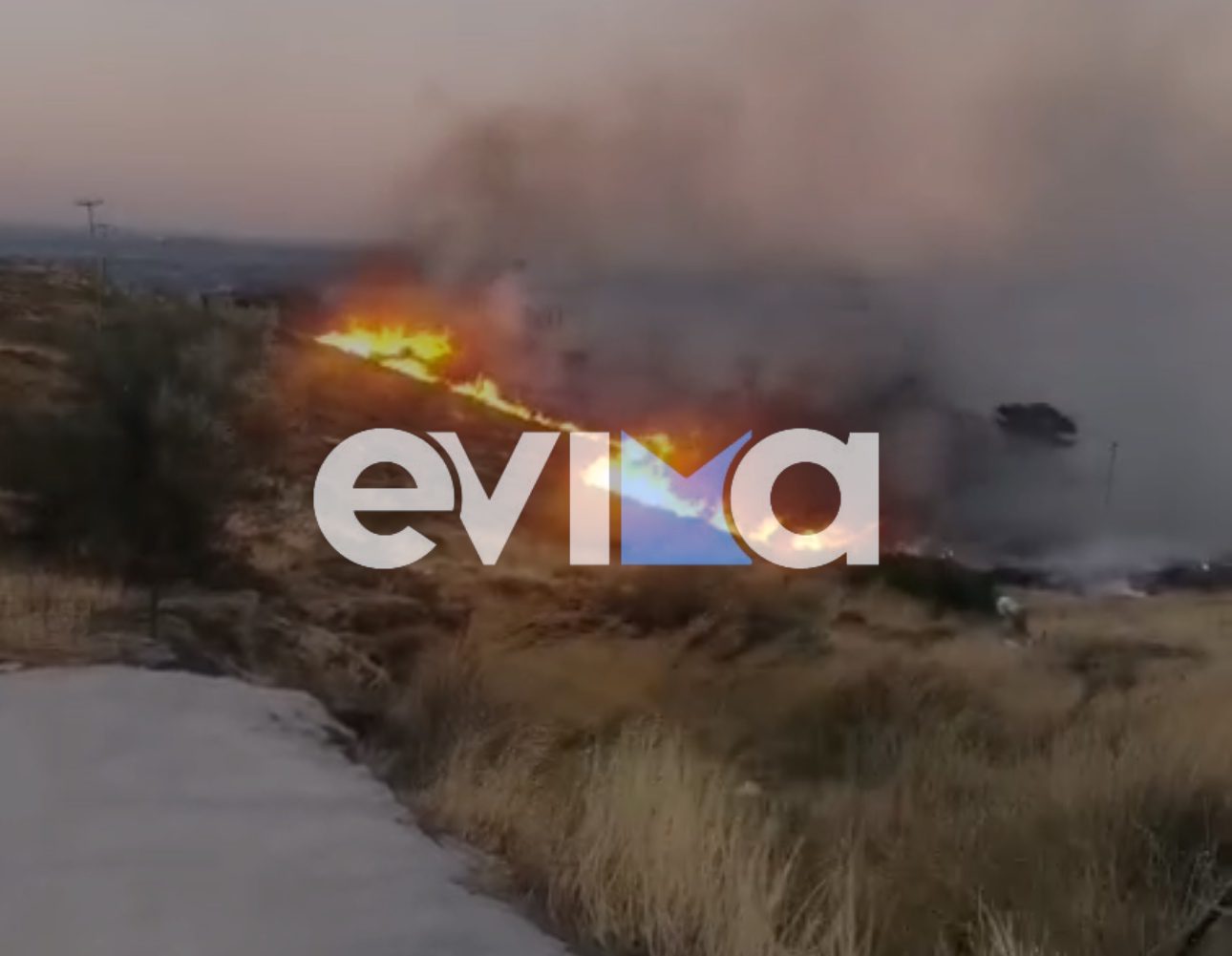 Μεγάλη φωτιά στην Κάρυστο – Καίει κοντά σε σπίτια- Νέο βίντεο