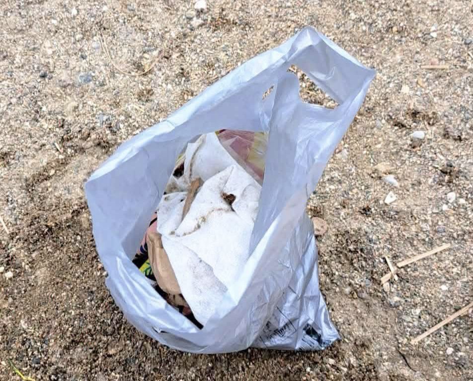 Ρίγη συγκίνησης στην Εύβοια: 3χρονος μαζεύει σκουπίδια από παραλία