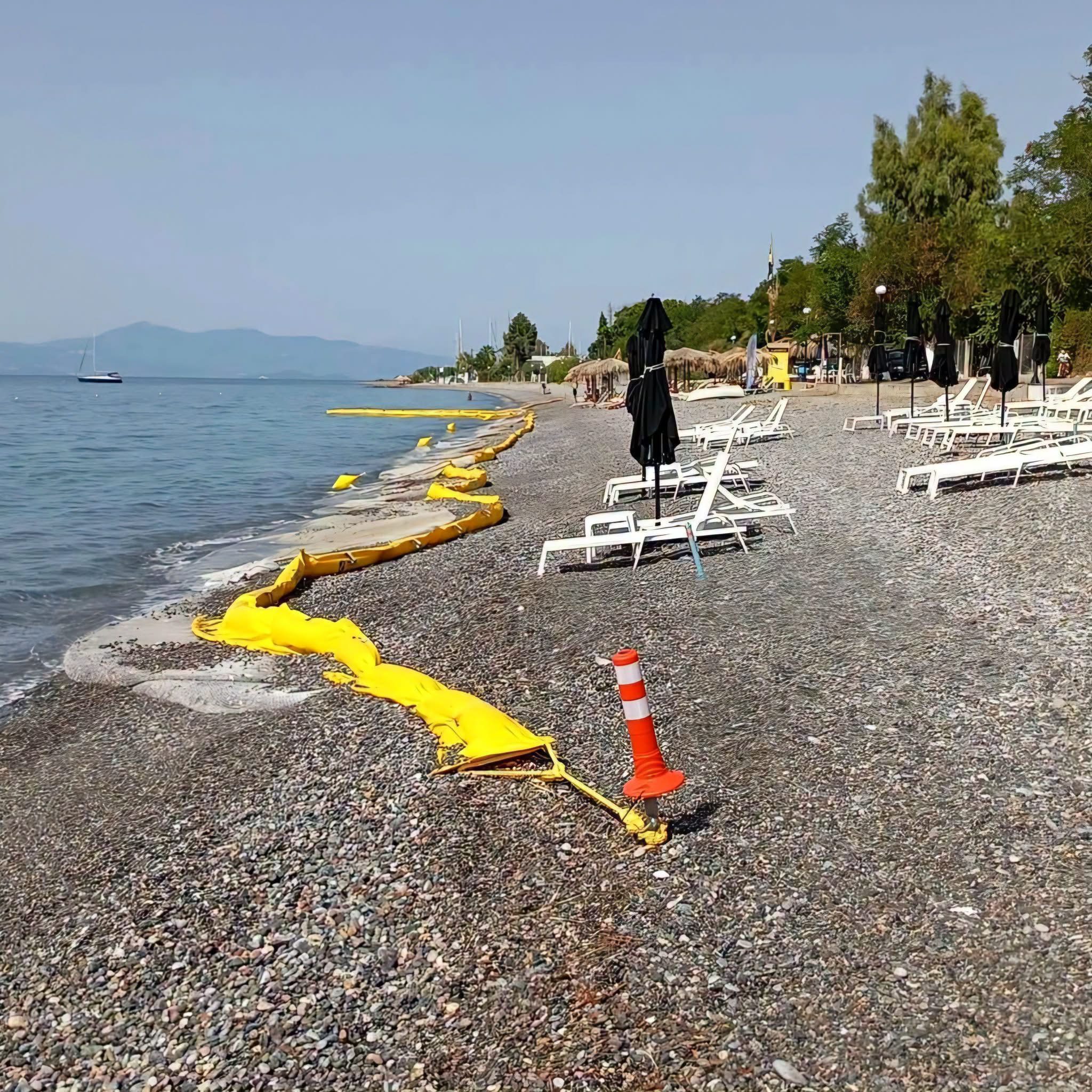 Ξηλώθηκε ακόμα ένα δίχτυ προστασίας για τις μέδουσες στην Εύβοια