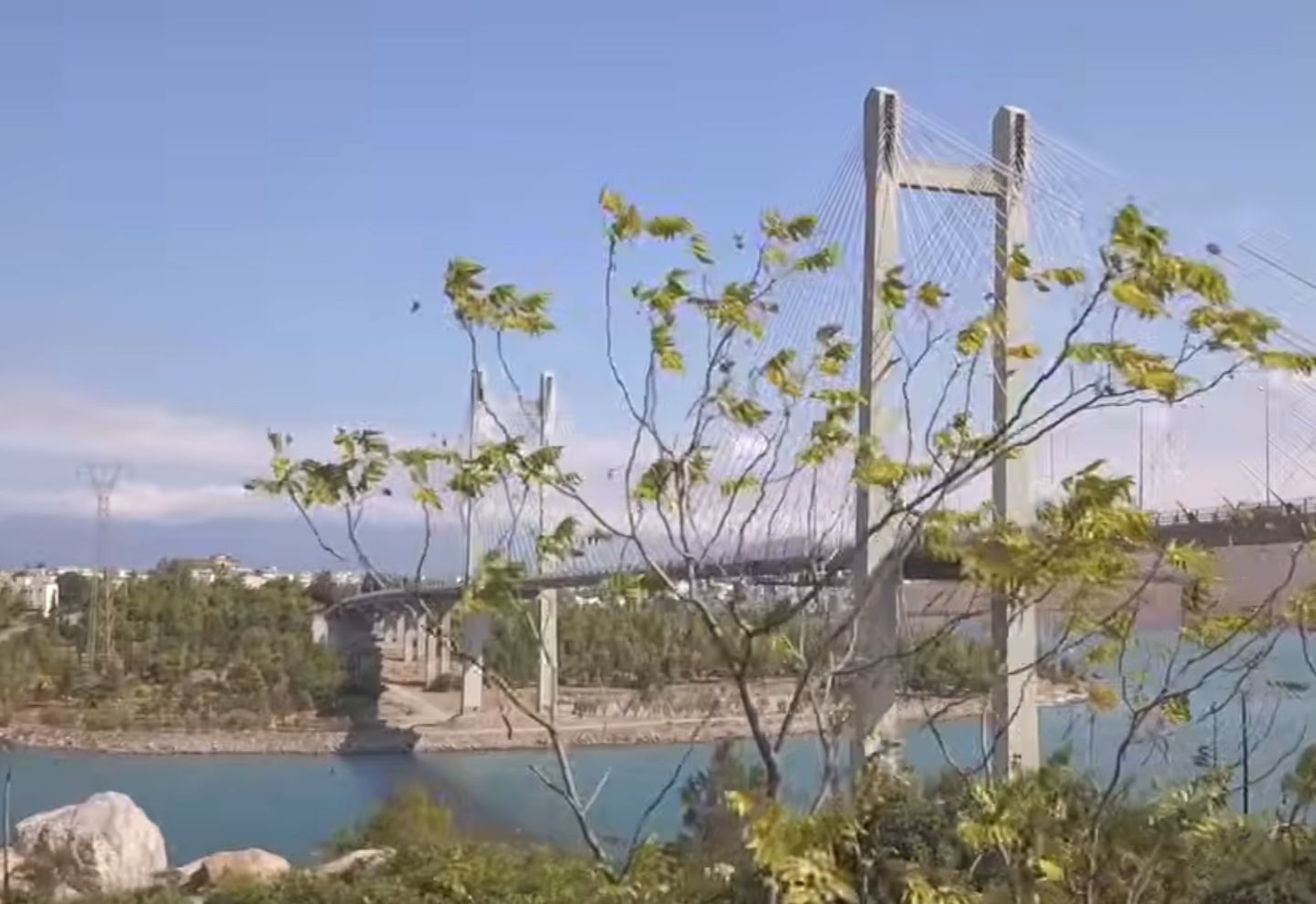 Πασίγνωστος σεφ μαγειρεύει στην Εύβοια: Δείτε πού