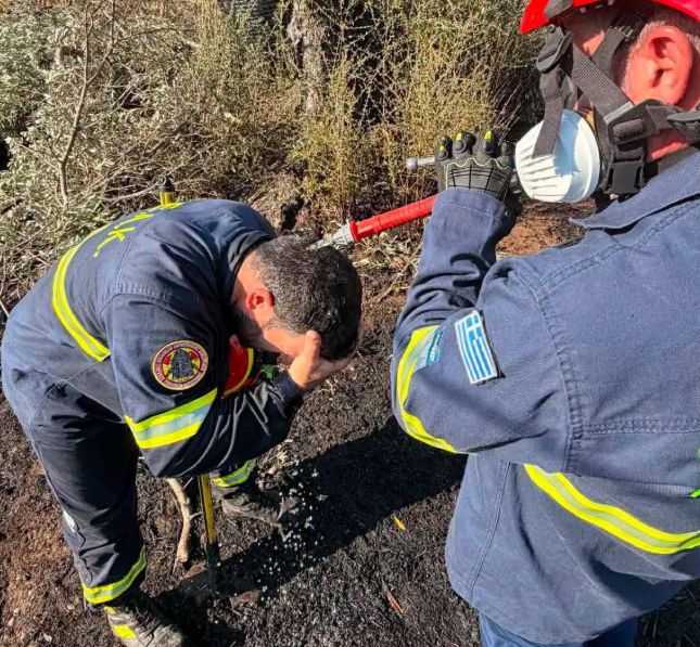 Συγκλονιστική στιγμή στην Εύβοια: Όταν η φωτιά σβήνει, οι ήρωες της Πυροσβεστικής λυγίζουν από την εξάντληση