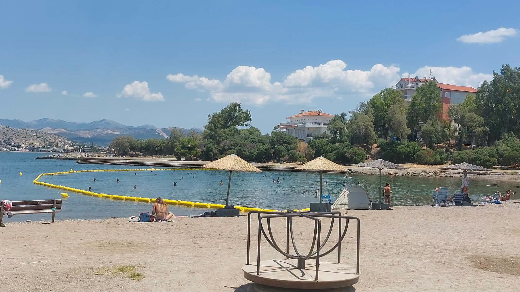 Μπήκε σε ακόμα μια παραλία της Εύβοιας δίχτυ για τις μέδουσες