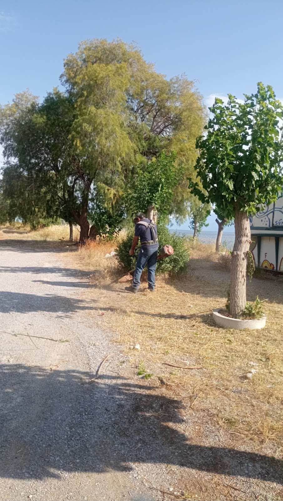 Χαλκίδα: Παρεμβάσεις βελτίωσης σε σχολεία, δρόμους και κοινόχρηστους χώρους ]