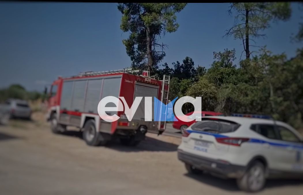 Στη φυλακή ο άνδρας που έβαλε φωτιά σε αμάξι στην Εύβοια