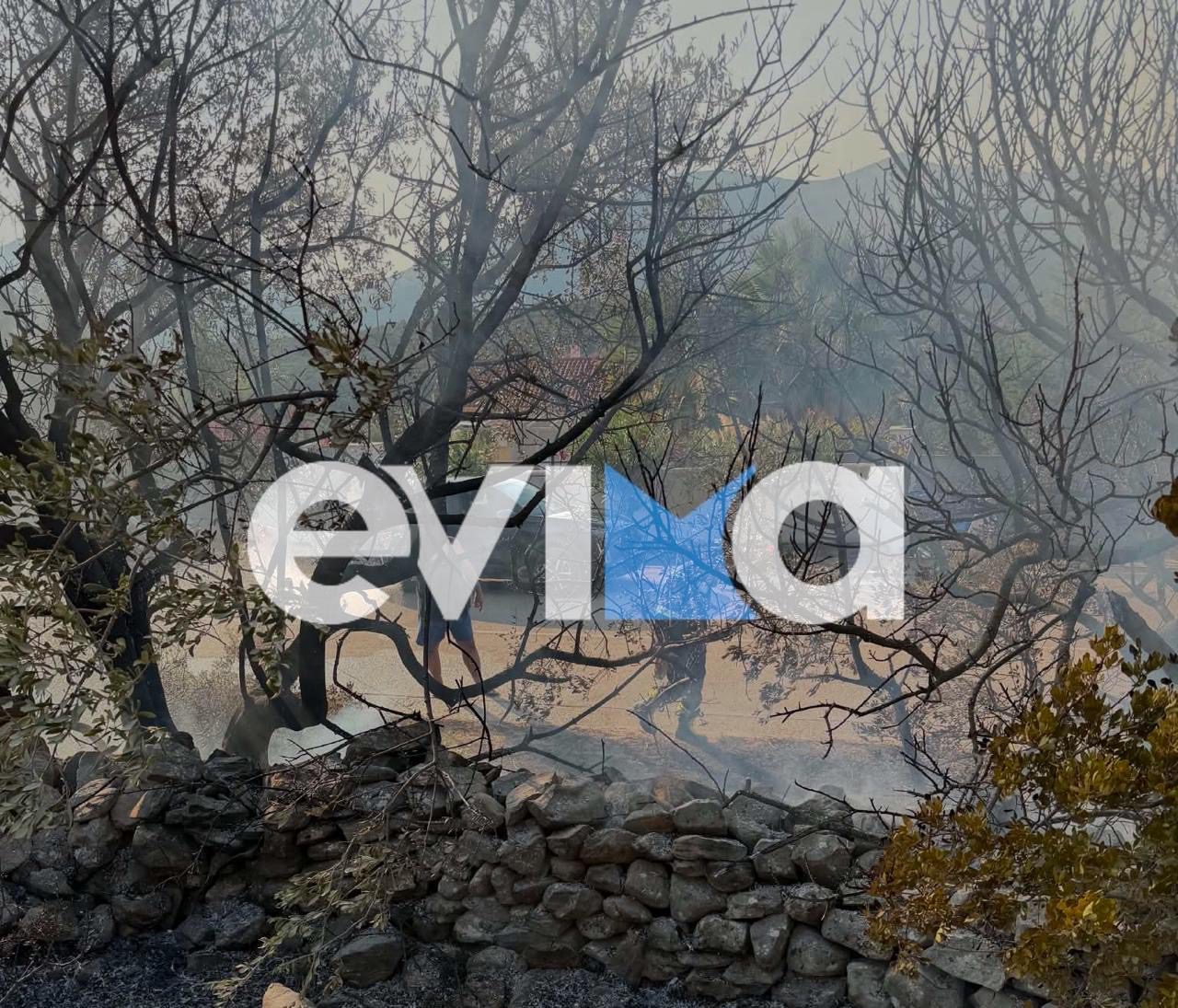 Φωτιά τώρα κοντά σε σπίτια στην Εύβοια