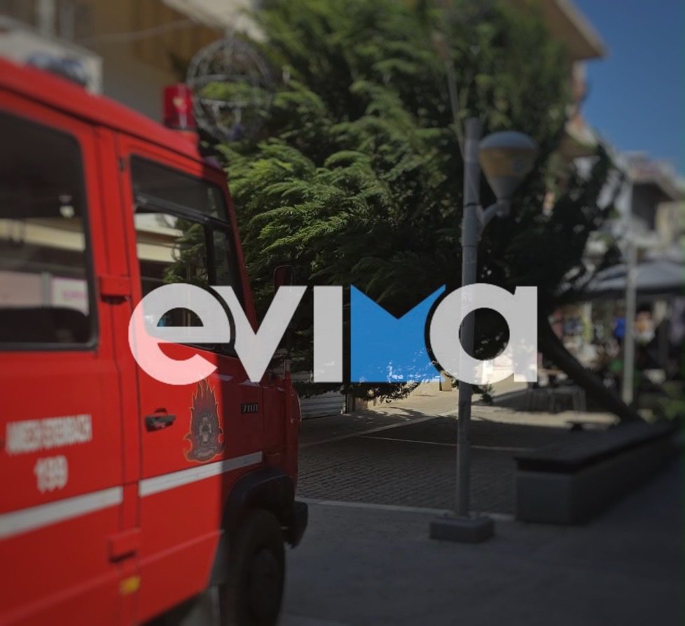 Παραλίγο τραγωδία στην Εύβοια: Έπεσε μεγάλο δέντρο σε πεζόδρομο