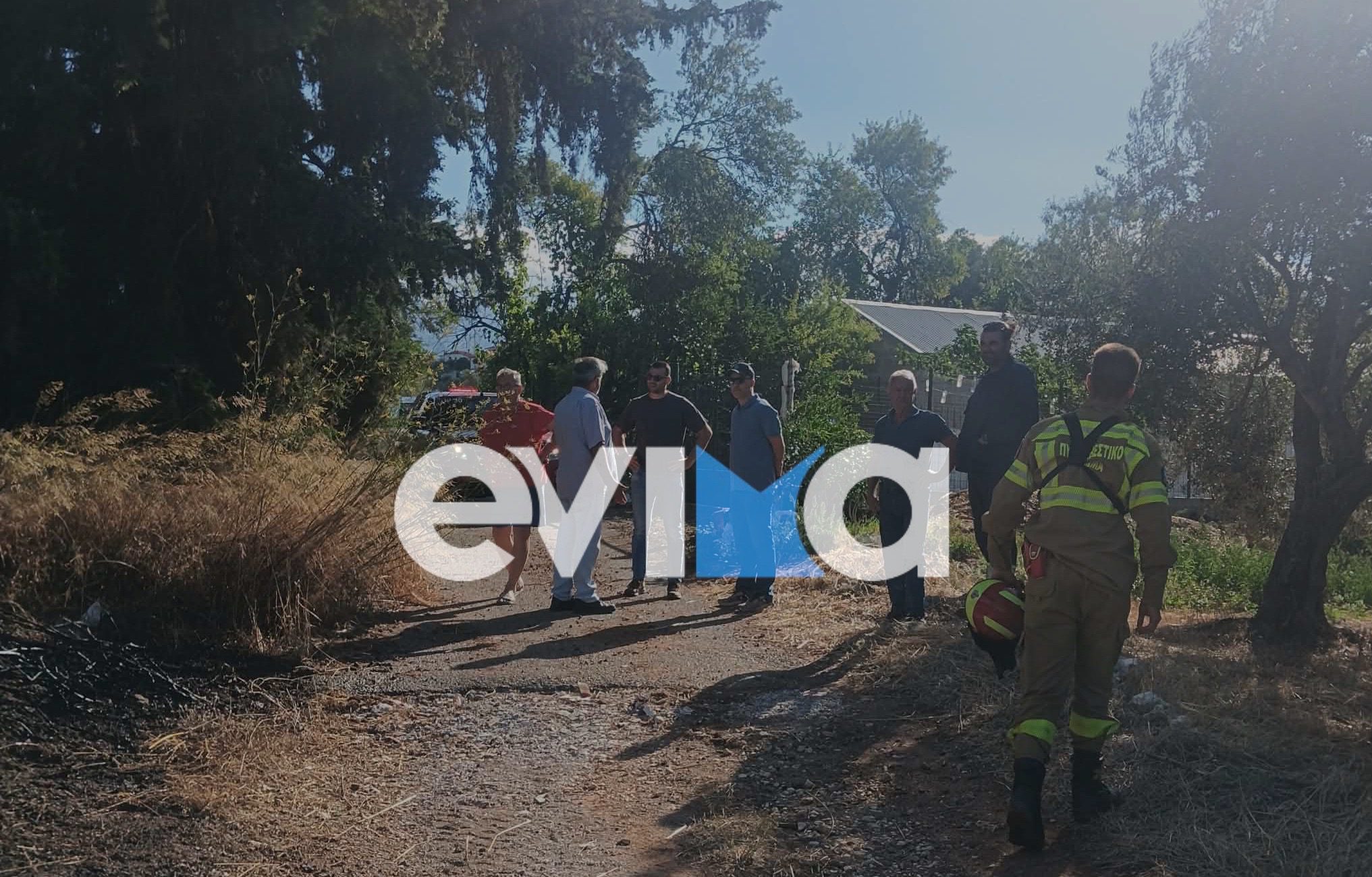 Υπό έλεγχο η φωτιά στους Καθενούς Ευβοίας