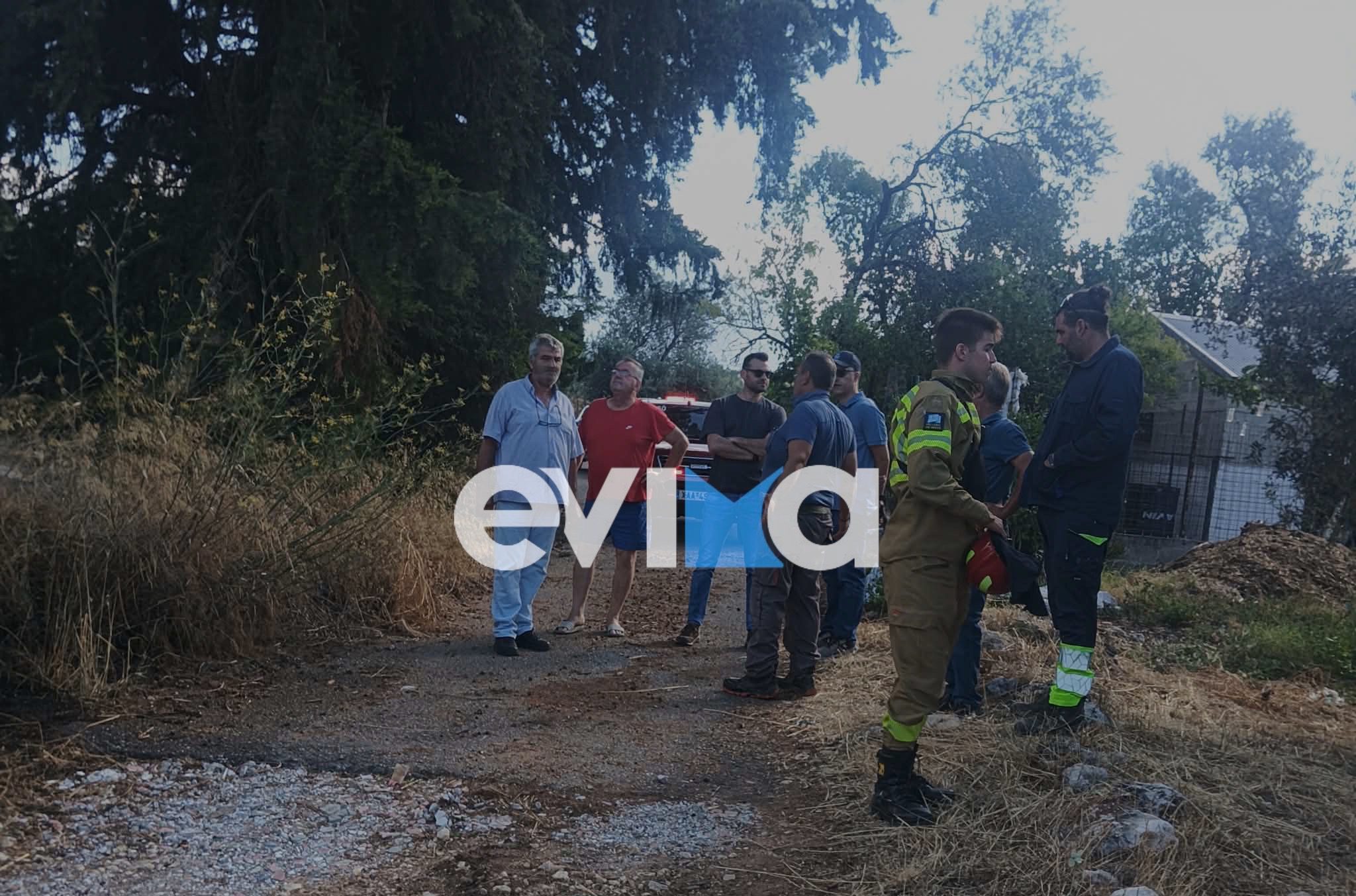 Φωτιά στους Καθενούς Ευβοίας: Συγκλονίζει ο πρόεδρος της Κοινότητας, «ευτυχώς προλάβαμε τα χειρότερα»
