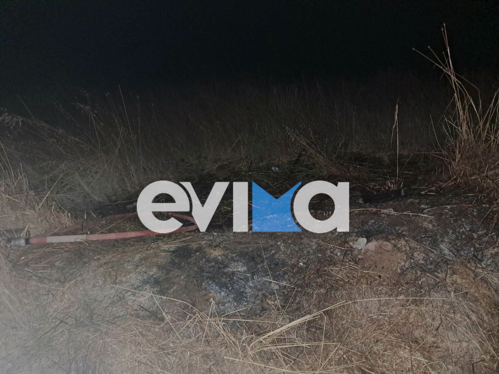 Φωτιά στην Εύβοια σε ξερά χόρτα