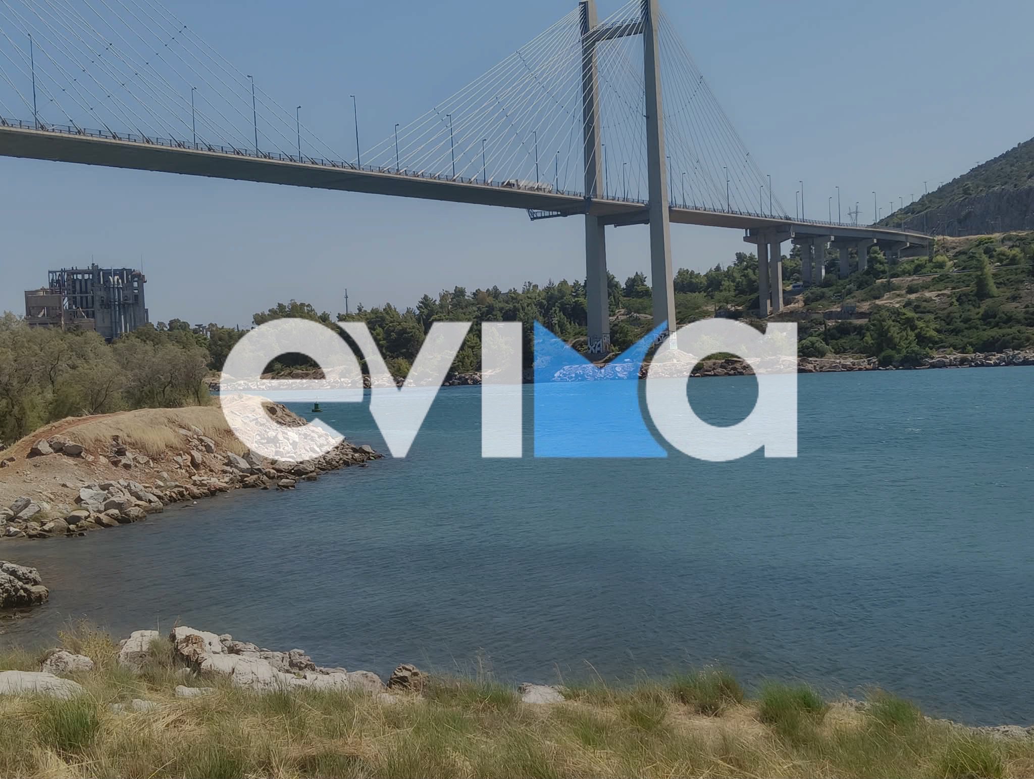 Συναγερμός στη Χαλκίδα: Γυναίκα έπεσε από την Υψηλή Γέφυρα
