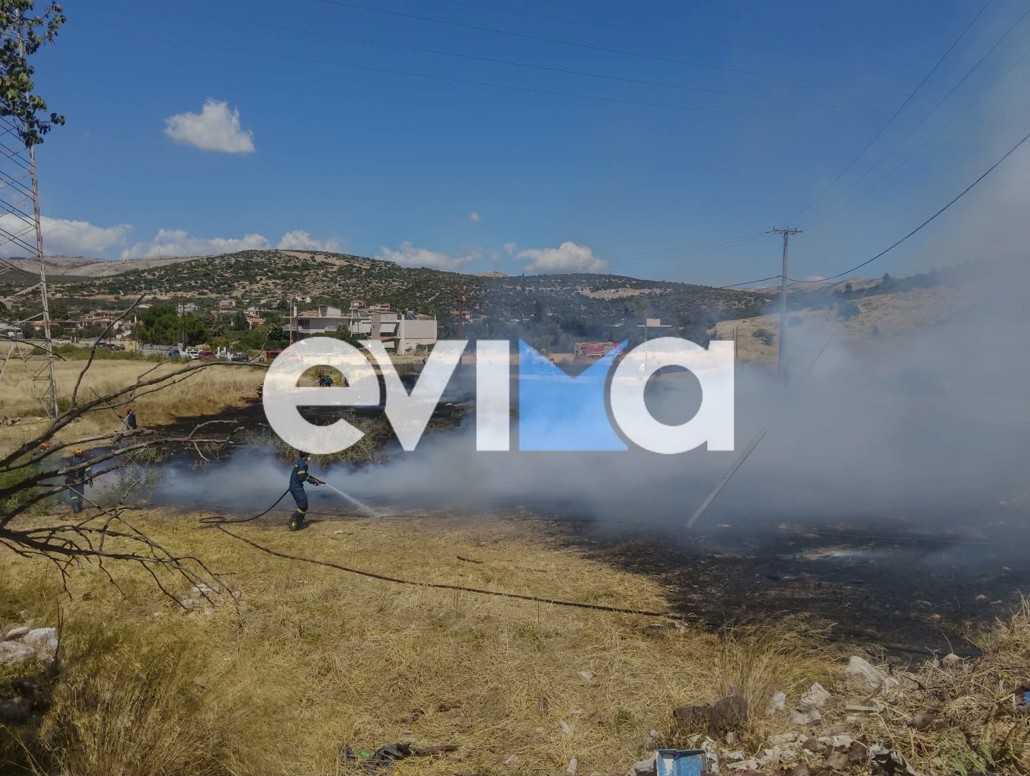 Νεότερα για τη φωτιά στην Εύβοια: Μάχη των πυροσβεστών με τους ισχυρούς ανέμους – Νέες εικόνες και βίντεο