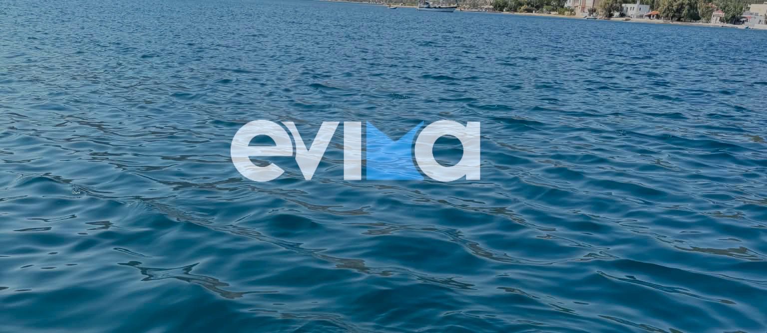 Σοκ σε παραλία της Εύβοιας: Λουόμενοι βρήκαν άνδρα μέσα στη θάλασσα χωρίς τις αισθήσεις του