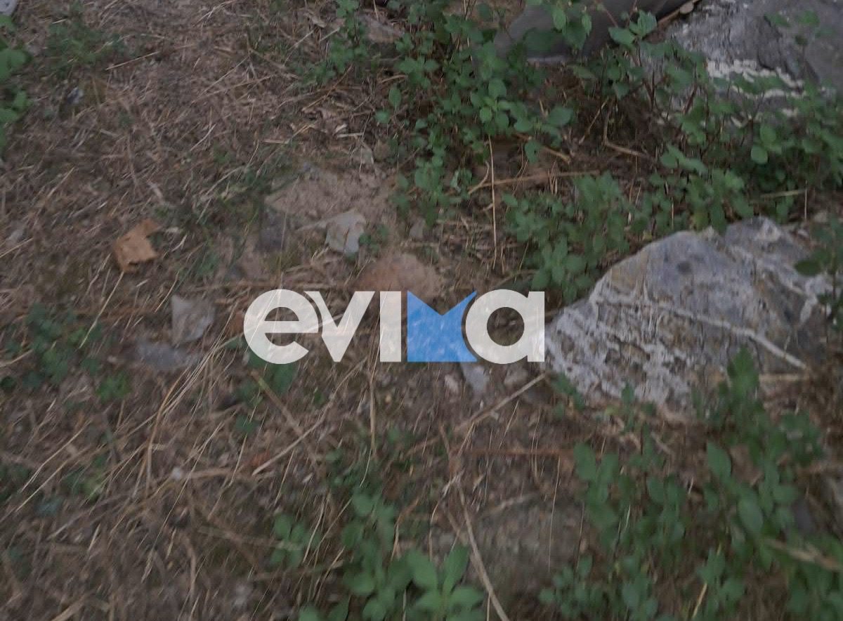 Συναγερμός στην Εύβοια: Χειροβομβίδα του Β΄ Παγκοσμίου Πολέμου βρέθηκε σε παλιά αποθήκη