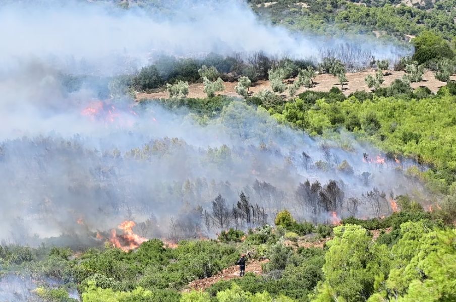 Συνελήφθη ο Δήμαρχος Στυλίδας για τη φωτιά στη Βοιωτία