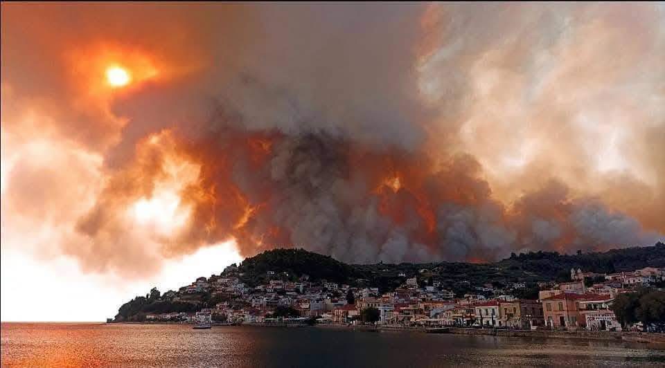 Εύβοια: Πέντε χρόνια μετά τον πύρινο όλεθρο – Οι στάχτες έσβησαν, οι πληγές όχι