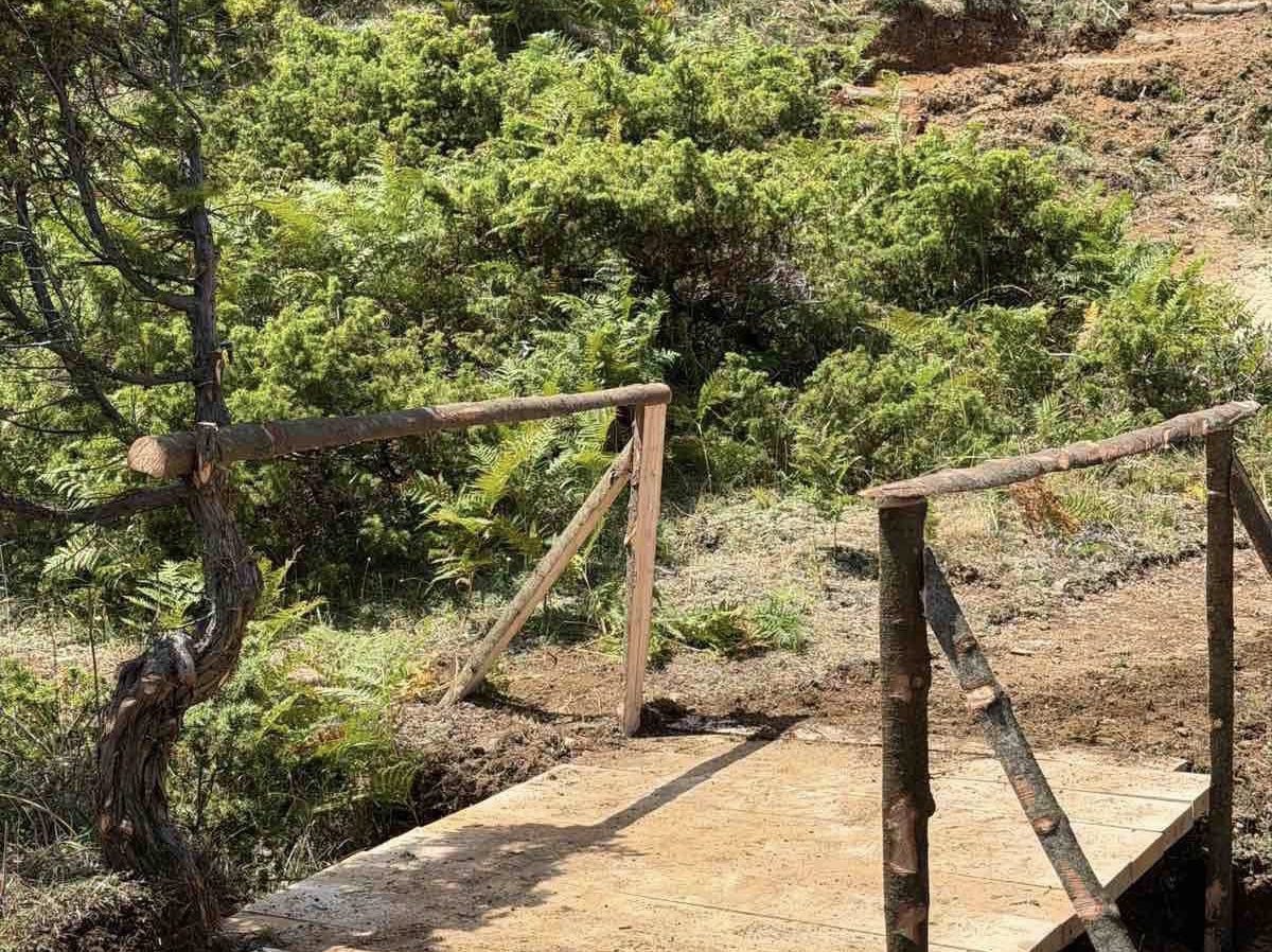 Νέα εποχή για την Εύβοια: Μονοπάτια μέσα σε μαγευτικό δάσος