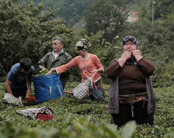 Στην Εύβοια υπάρχει ένα χωριό που… μιλάει σφυρίζοντας – Δείτε πού είναι