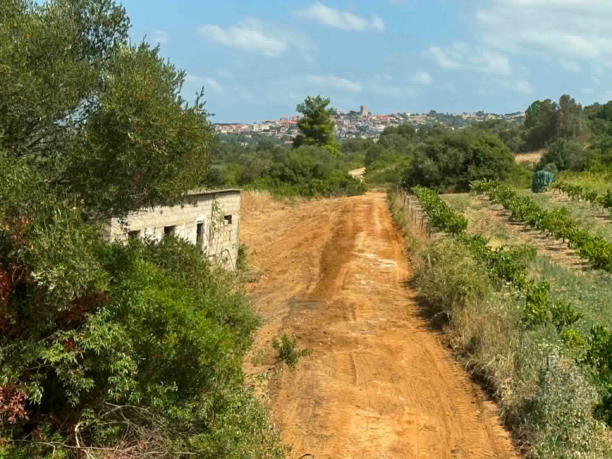 Μεγάλη αλλαγή στους αγροτικούς δρόμους της Εύβοιας – Δείτε τι έκαναν