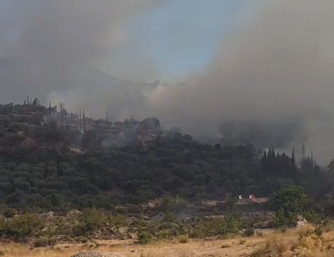 Φωτιά στην Αιγιάλεια: Βελτιωμένη η εικόνα του μετώπου – Συνεχίζεται η μάχη με τις φλόγες