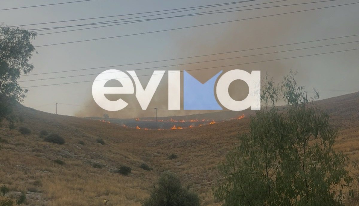 Συναγερμός στην Πυροσβεστική μετά από κλήσεις για δύο φωτιές τώρα στην Εύβοια