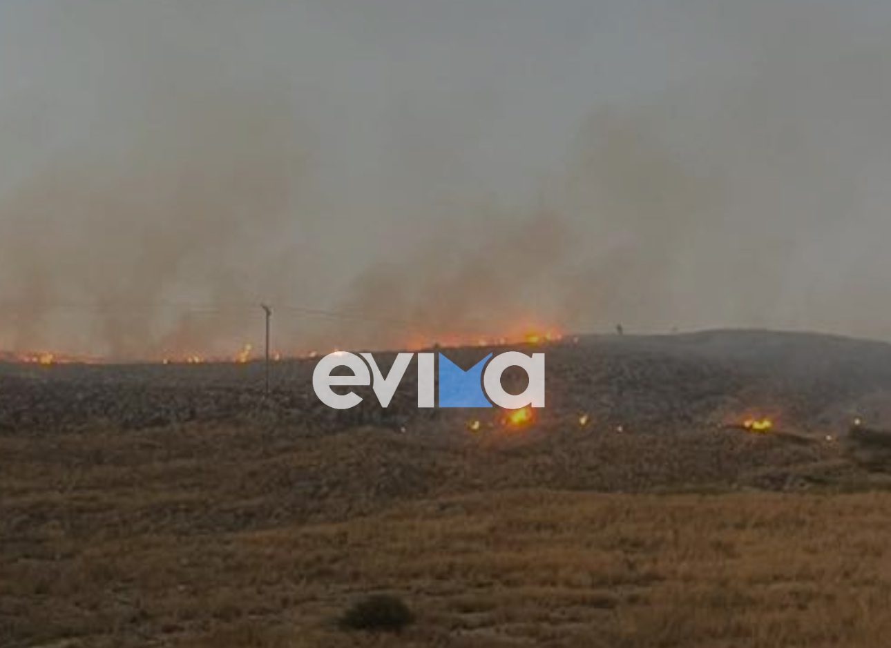 Φωτιά στη Χαλκίδα – Τι λέει στο evima ο αντιδήμαρχος Πολιτικής Προστασίας- Νέες φωτογραφίες