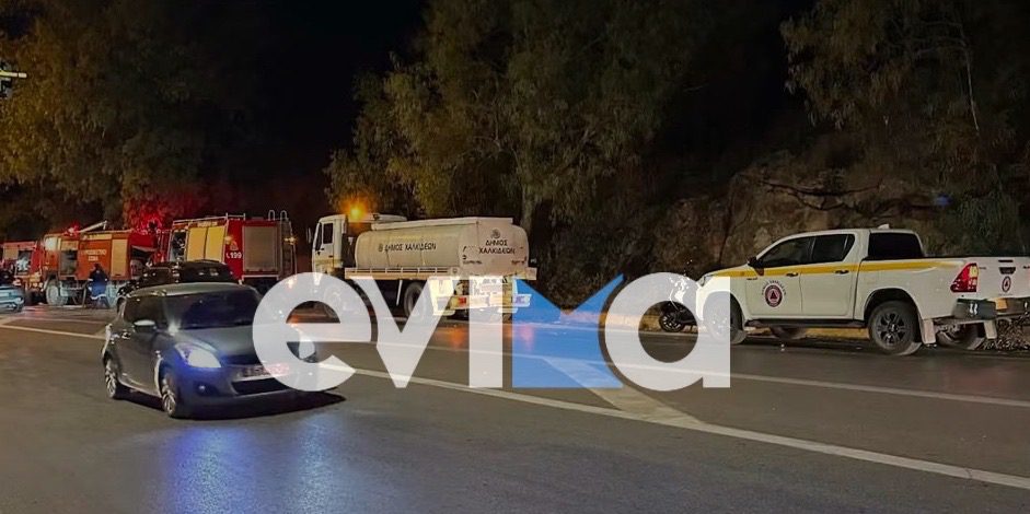 Υπό πλήρη έλεγχο η φωτιά στη Χαλκίδα – Τι δήλωσε η δήμαρχος