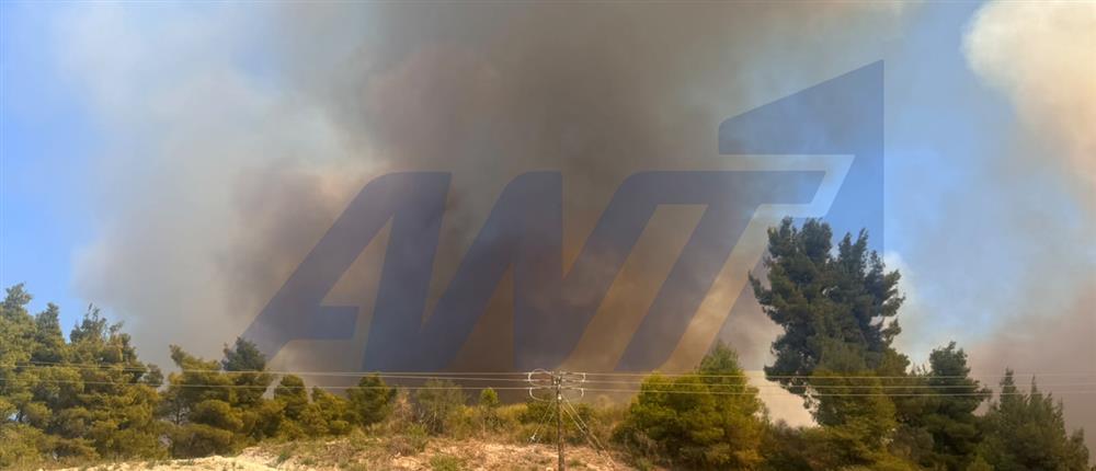 Φωτιά στην Χαλκιδική – Οι φλόγες απειλούν σπίτια