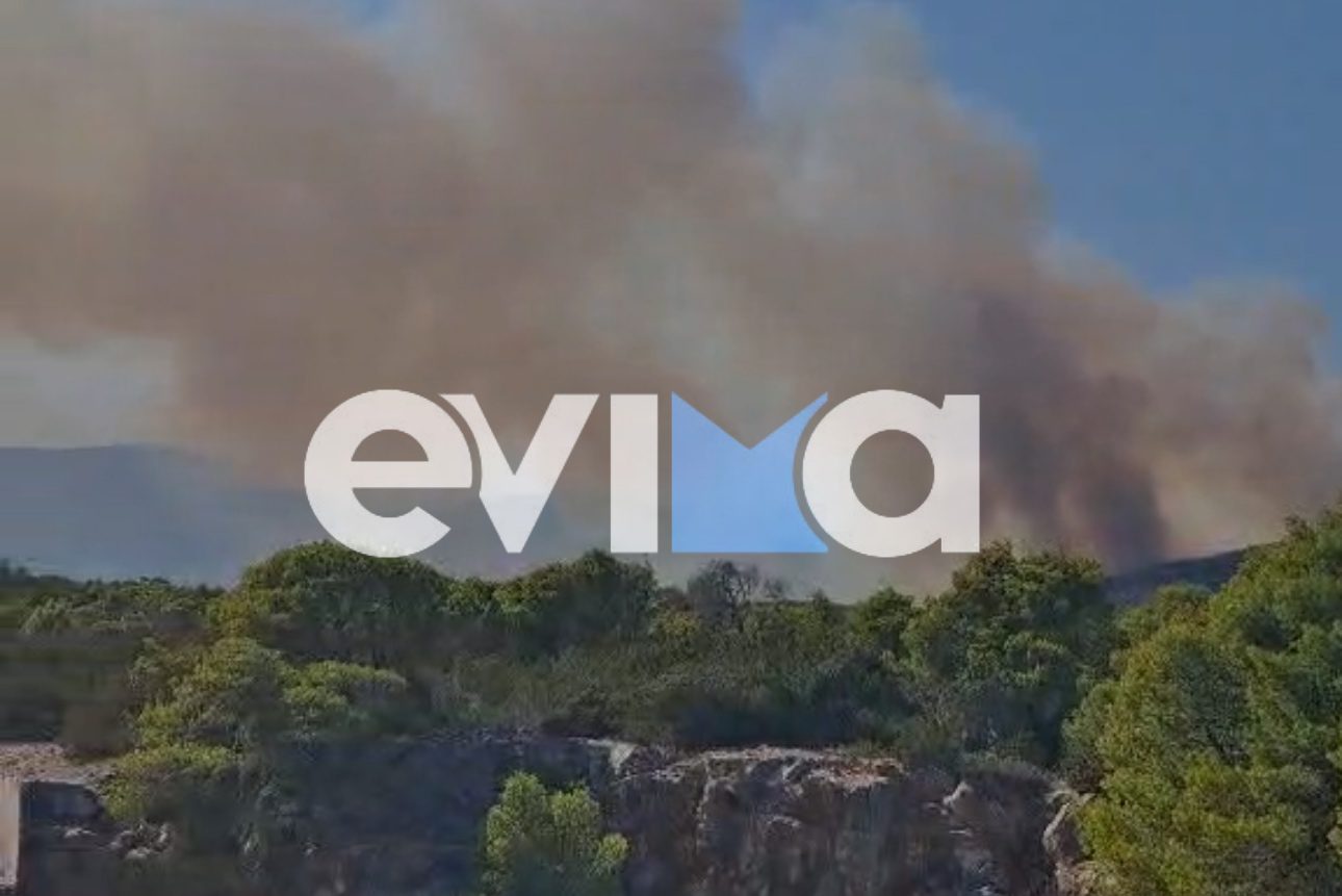 Μεγάλη φωτιά σε δασική έκταση στη Σκύρο: Ήχησε το 112 στο Νησί