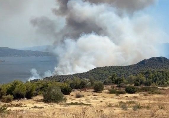 Φωτιές στη Σαλαμίνα: Εκκενώνουν δια θαλάσσης από Σατερλί και Κολώνες, απεγκλωβίστηκαν ήδη πάνω από 90 άτομα