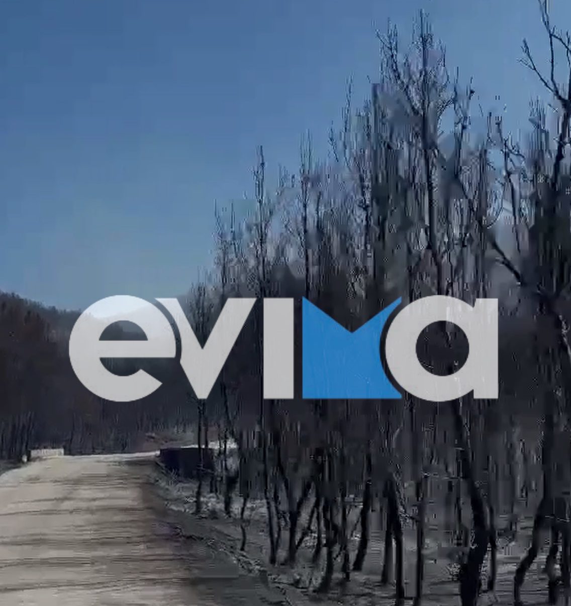 Οδοιπορικό του evima στα καμένα της Σκύρου: Χιλιάδες δέντρα έγιναν στάχτη στην Ατσίτσα (vid)