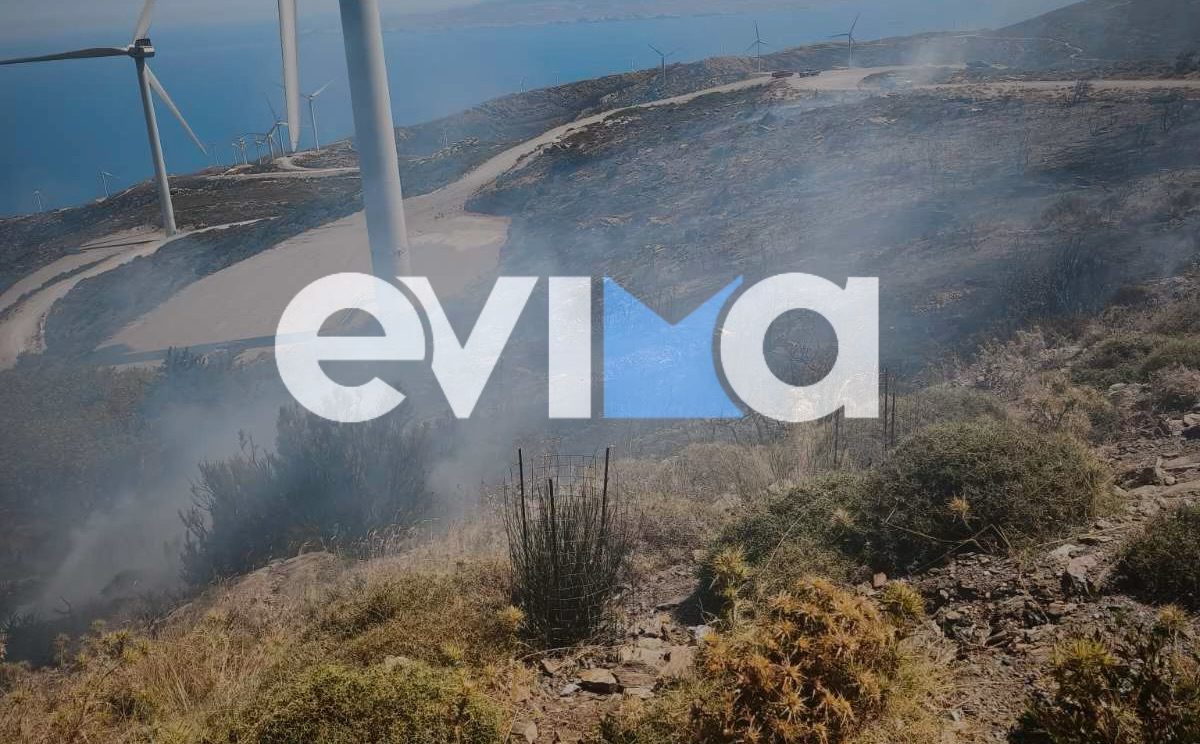 Εύβοια: Συνελήφθη 47χρονος για τη φωτιά στην Κάρυστο