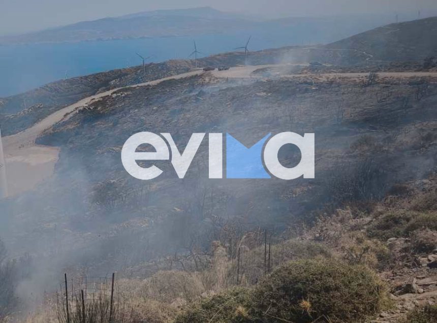 Φωτιά τώρα σε δασική έκταση στην Κάρυστο